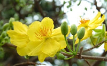Chúng sanh đều bình đẳng